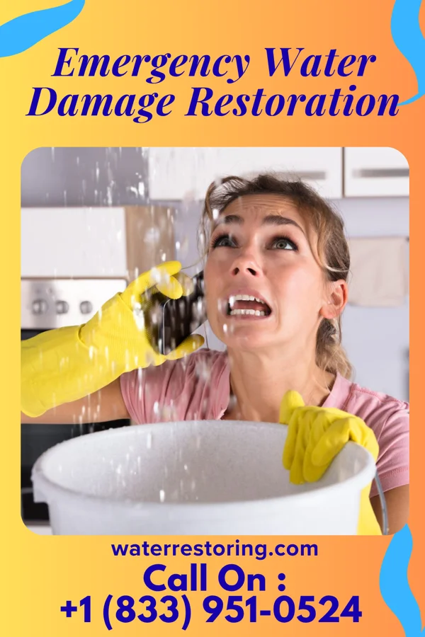 Emergency Water Damage Restoration in North Valley, NM